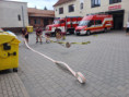 /album/navsteva-hasicu-ze-slovenskeho-zohoru-19-cervence-2025/img-20250719-wa0011-jpg/